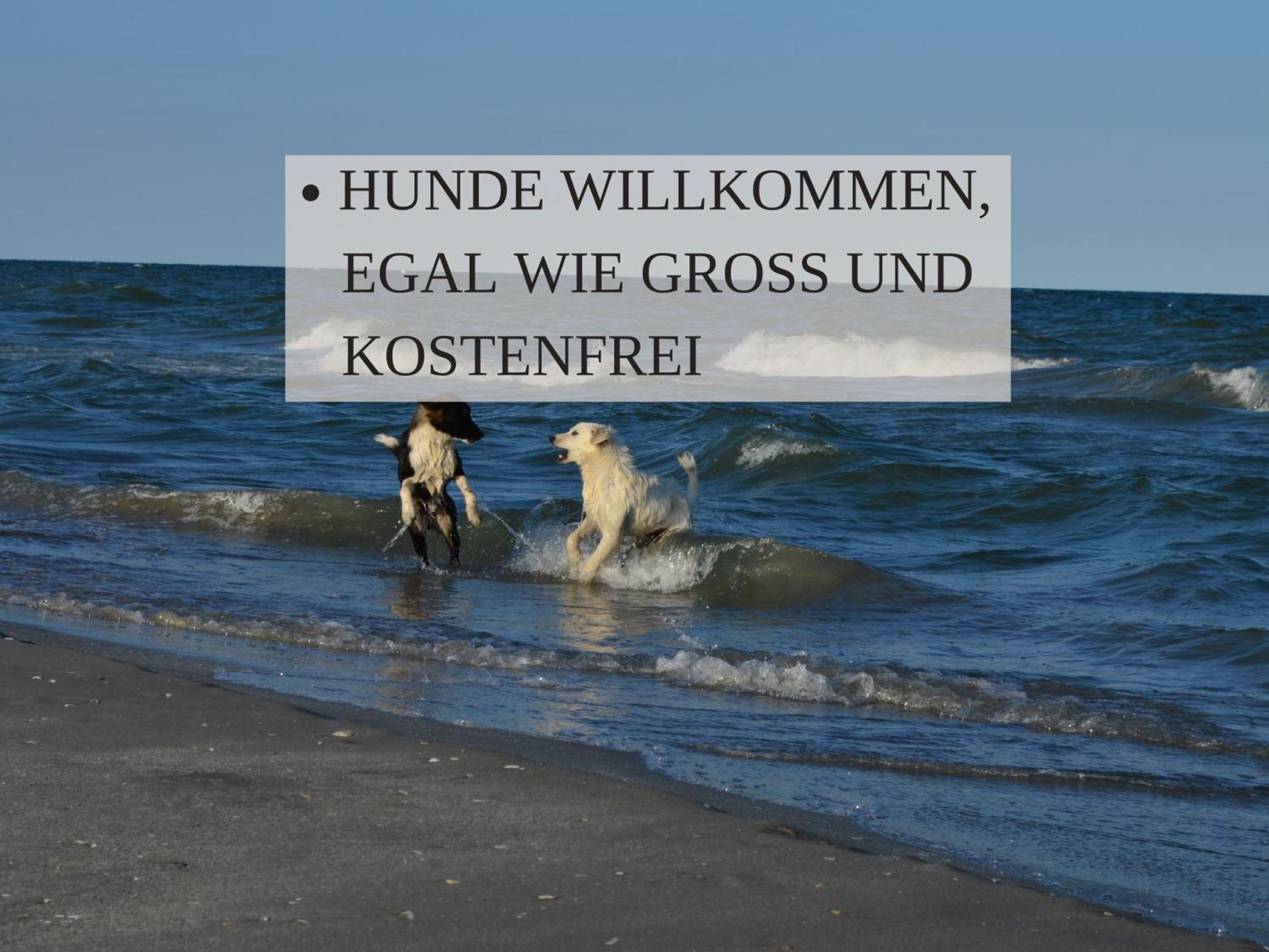 Haus Krabbe Apartments Mit Doppelbetten, Fuer 1-2 Personen, Hunde Kostenfrei Willkommen, Kostenfreier Parkplatz, Zwischen Bremerhaven Und Cuxhaven Gelegen Wremen Ngoại thất bức ảnh